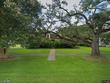 500 n wilson ave, kaplan,  LA 70548