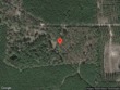 693 old troy rd., monticello,  AR 71655