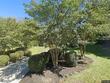 252 brookwood forest dr, blythewood,  SC 29016