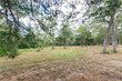 tbd grape cir (1.2 acres), somerville,  TX 77879