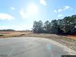 25 w american marigold drive, benson,  NC 27504