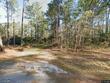 0 little elbow drive, walterboro,  SC 29488