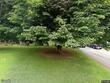 168/1685 highland hill drive, jefferson,  NC 28640