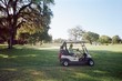golf course community, chiefland,  FL 32644