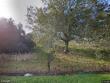 24337 chestnut rd, kaplan,  LA 70548