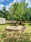 3010 call st, vidor,  TX 77662