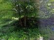 51 buck lake rd, woodbury,  VT 05650