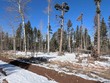 2647 petito dr, fort garland,  CO 81133