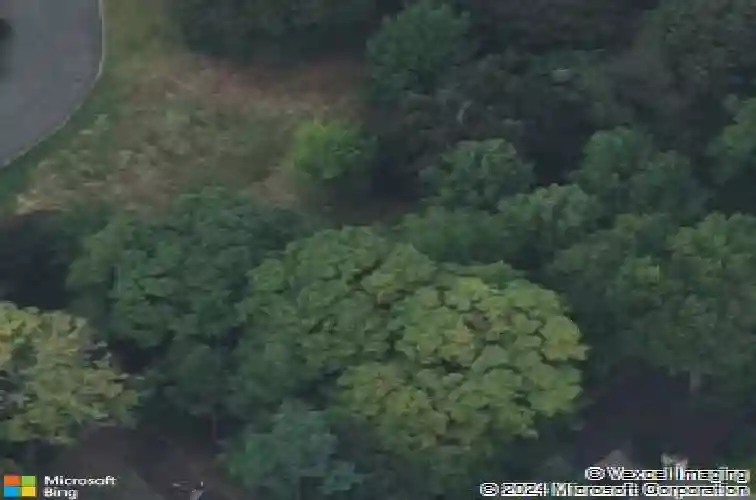 3 berkery pl, alpine,  NJ 07620