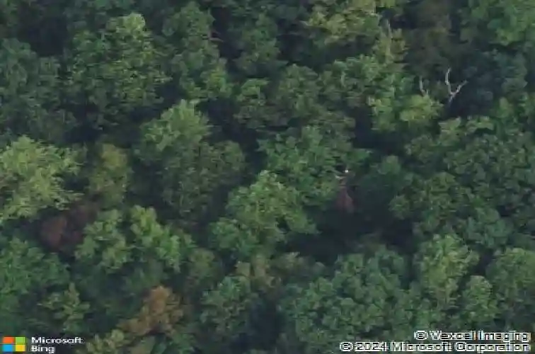 36 marie major dr, alpine,  NJ 07620