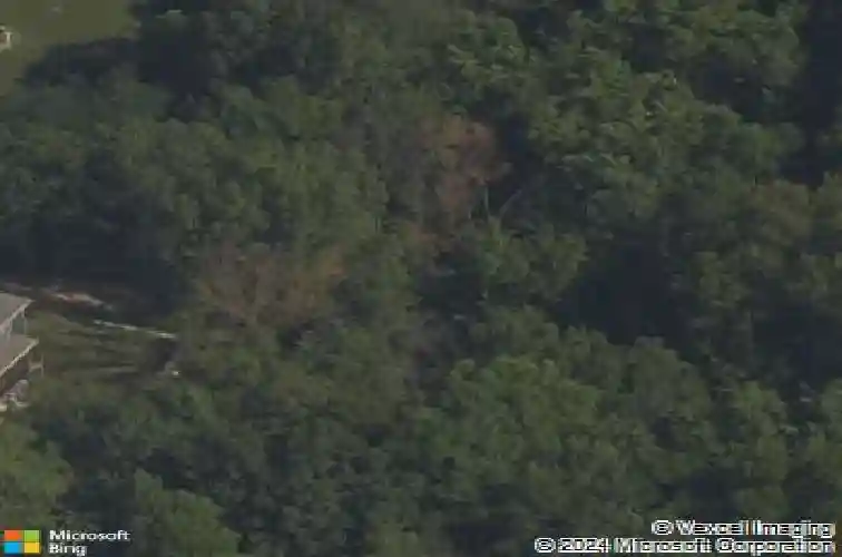 6919 n norton ave, kansas city,  MO 64119