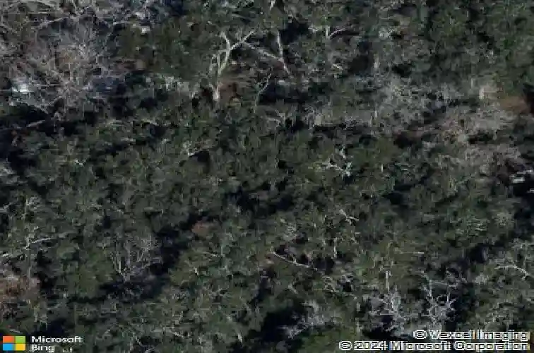 7305 cr 647, bushnell,  FL 33513