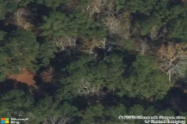 1859 old augusta rd s, rincon,  GA 31326