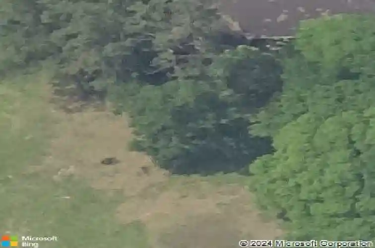 3204 w park ave, orange,  TX 77630