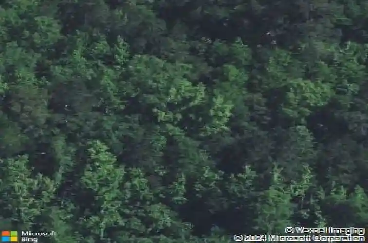 base hill road, hopkins,  SC 29061