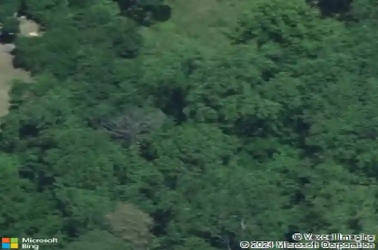 nx825 vernon st, columbia,  SC 29203