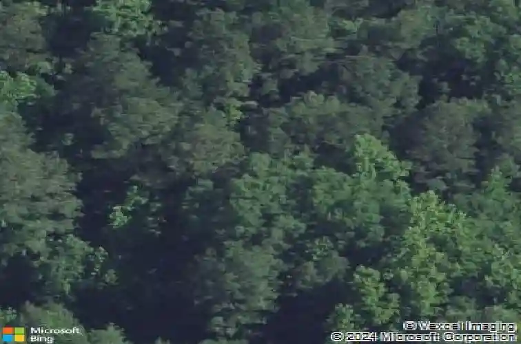 1152 pineland dr, columbia,  SC 29203