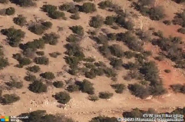 1677 cerro gordo rd #19
                                ,Unit # 19, santa fe,  NM 87501