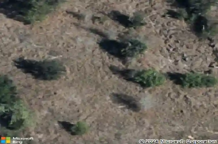  haines city,  FL 33844