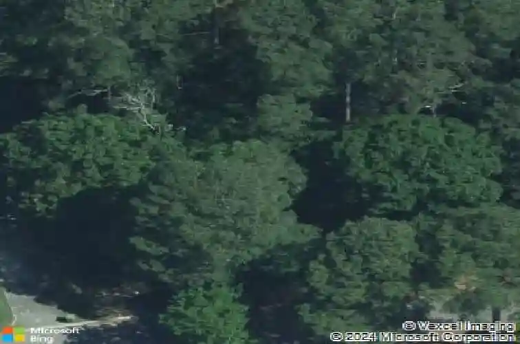 9505 commonwealth blvd, columbia,  SC 29209