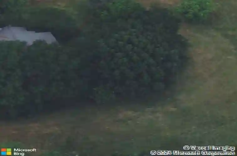 1036 horrell hill rd, hopkins,  SC 29061