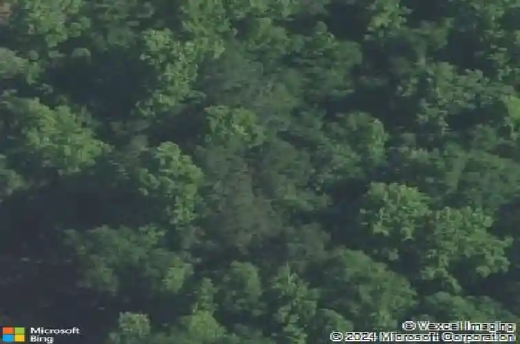 32 roberson st, columbia,  SC 29203