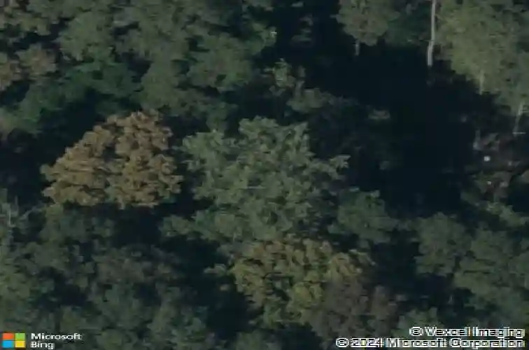 6508 margate st, columbia,  SC 29203