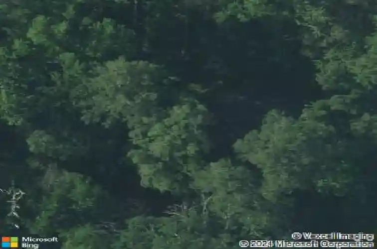 225 partridge dr, columbia,  SC 29206