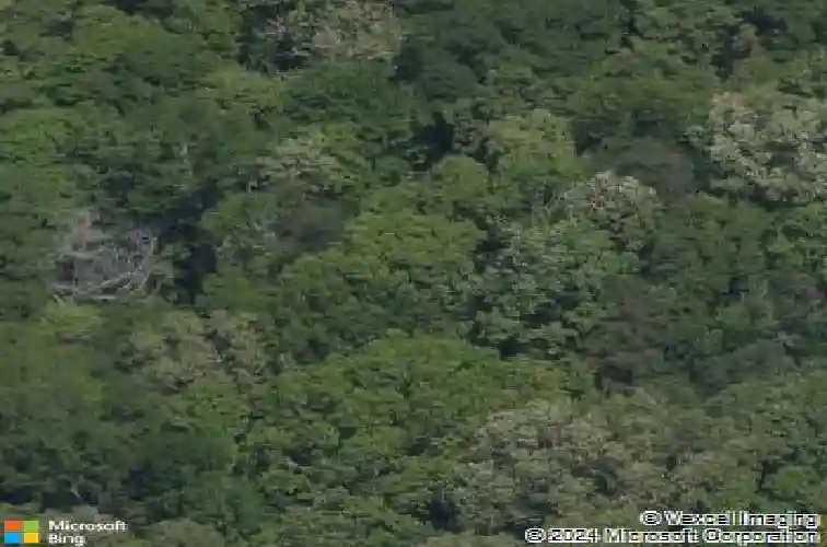 453 lancaster estate rd, fort mill,  SC 29707