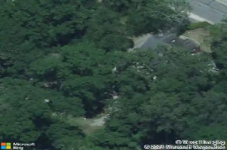 4204 devine st, columbia,  SC 29205