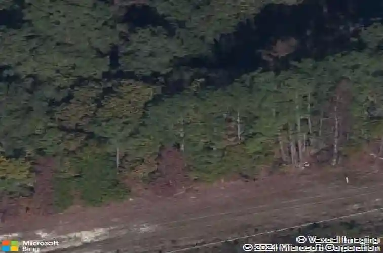 104 crane branch ln, columbia,  SC 29229