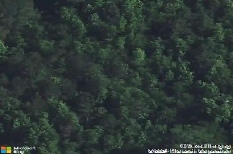 1113 chappell creek rd, hopkins,  SC 29061