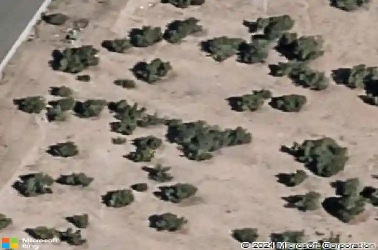 38 via summa, santa fe,  NM 87507