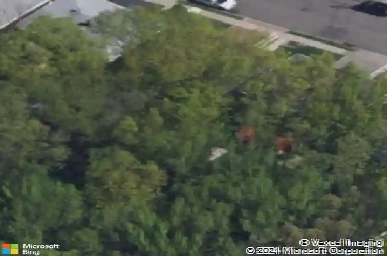  ridgefield,  NJ 07657