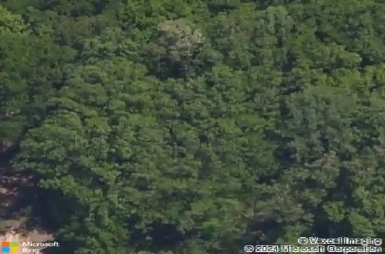 7383 barrington ridge drive, indian land,  SC 29707