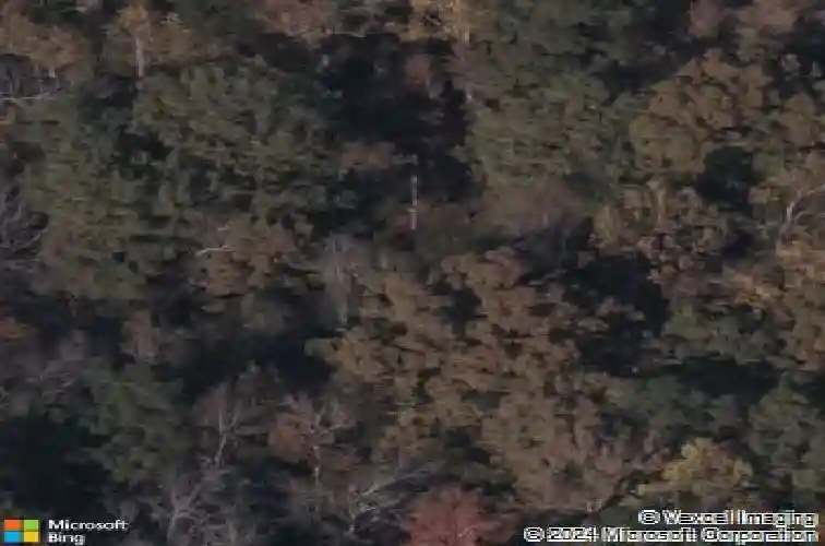  blythewood,  SC 29016