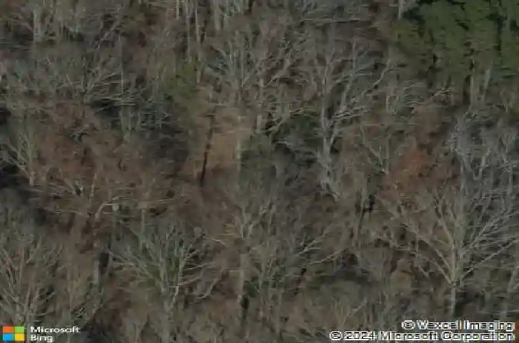 230 back acres rd, chapin,  SC 29036