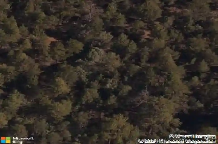 2377 camino del oso, santa fe,  NM 87501