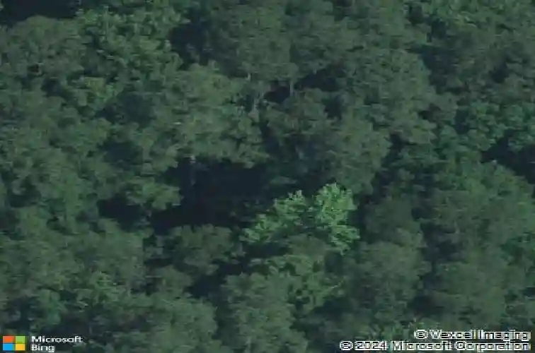 9525 commonwealth blvd, columbia,  SC 29209