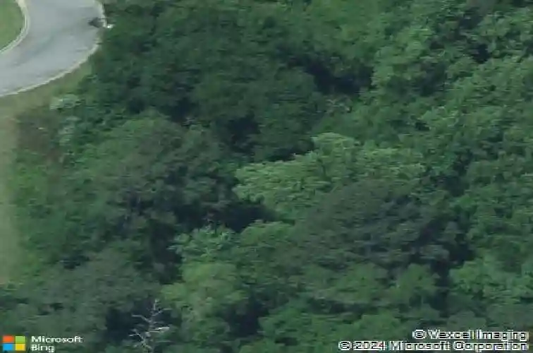 124 mayhaw dr, columbia,  SC 29206