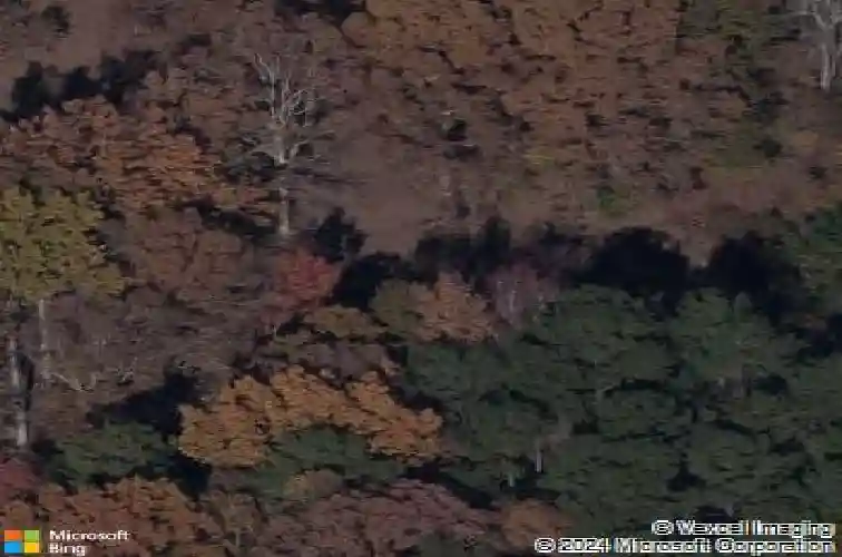 320 zachary ln, blythewood,  SC 29016