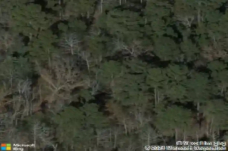 11437 broad river rd, chapin,  SC 29036