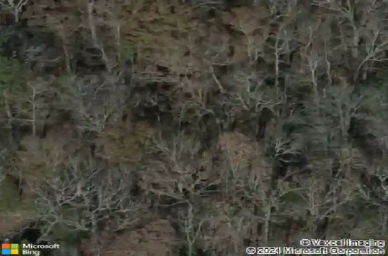 1160 bookie richardson rd, chapin,  SC 29036