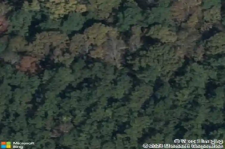 248 taylor chapel rd, columbia,  SC 29203