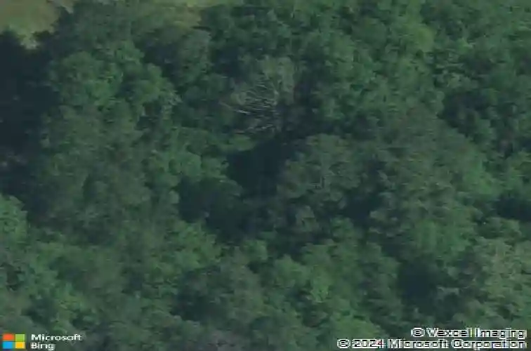 1459 caroline rd, columbia,  SC 29209