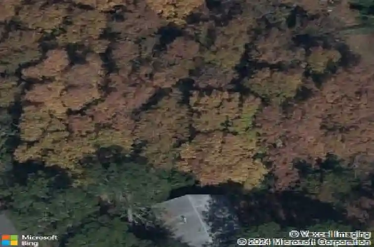 3924 hearn dr, columbia,  SC 29223