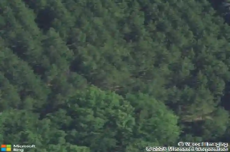 1307 farming creek rd, irmo,  SC 29063