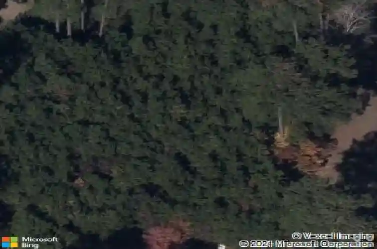 193 peppermint ln, blythewood,  SC 29016