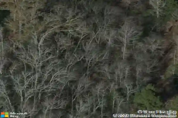 2033 old hilton rd, chapin,  SC 29036