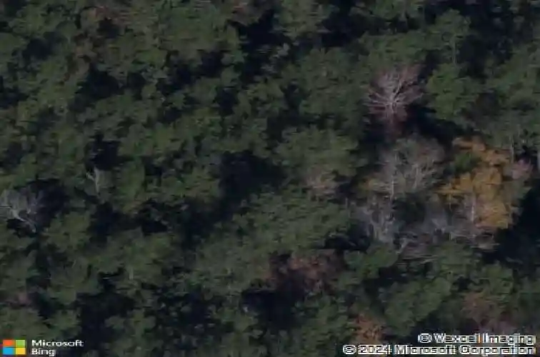 1147 boatwright rd, blythewood,  SC 29016